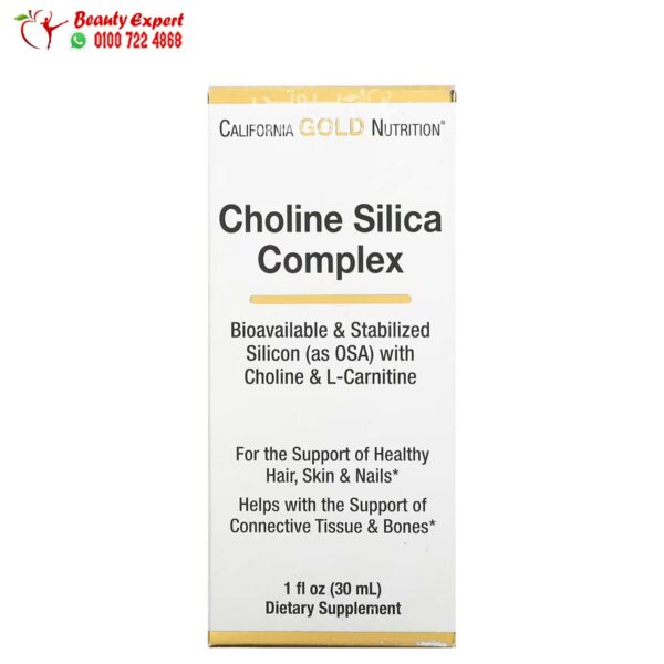 Choline Silica