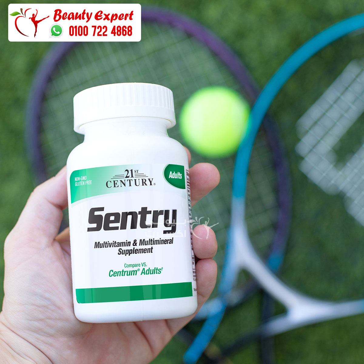 21st Century Sentry Supplement