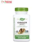 Nature s Way Ginger Root Capsules